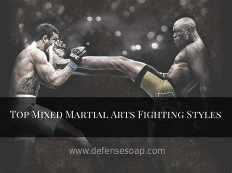 Top Mixed Martial Arts Fighting Styles