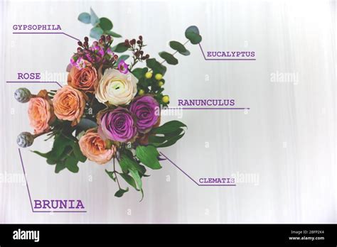 Beautiful bouquet with flowers names Stock Photo - Alamy