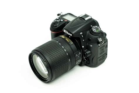 Best Camera for Wildlife Photography - Improve Photography