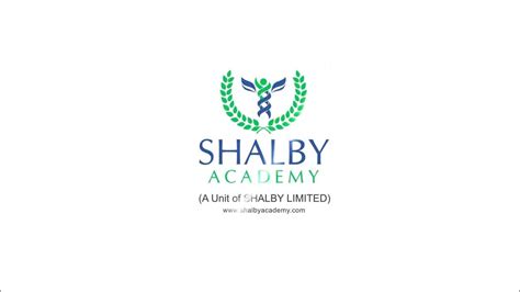 Shalby Academy Logo Animation Youtube