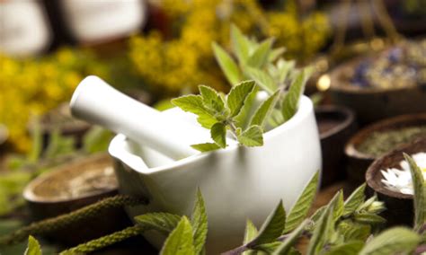 10 Herbs That Help Boost Immunity: Current Studies | The Epoch Times