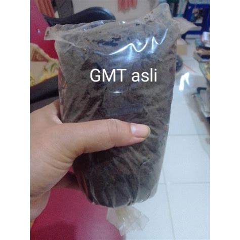 Jual Gula Merah Tebu Asli 1 Kg Shopee Indonesia