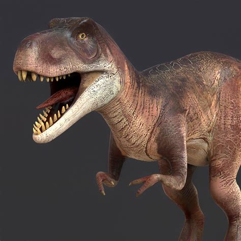 Young Trex Dinosaur - 3D Model by cgsea