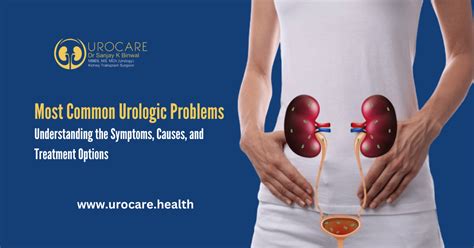 Common Urological Problems Urocare Health