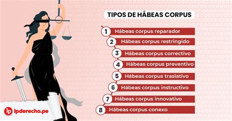 VÍDEO Los tipos de hábeas corpus en la jurisprudencia del TC LP