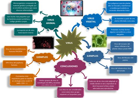 Mapa Conceptual De Las Ramas De La Biologia Geno Images