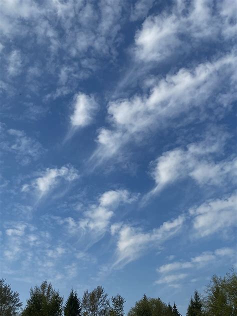 Altocumulus With Virga Prairie Harry Flickr