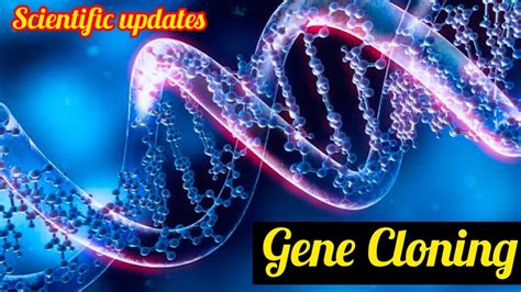 Gene Cloning A Short Summary Of Cloning Protocol And Where Store These