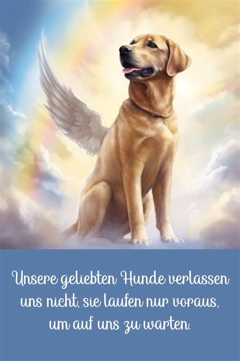 Gedichte Trauersprüche für den Abschied vom Hund