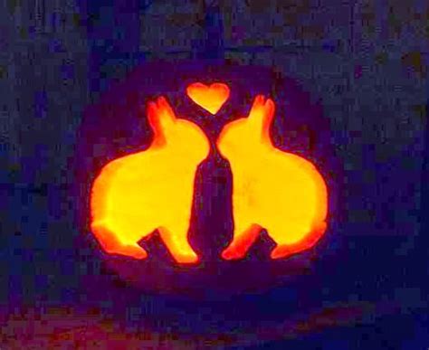 Rabbit Ramblings Bun O Lanterns Bunny Pumpkins For Halloween