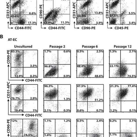 Flow Cytometric Analysis A Cell Surface Marker Expression Of The