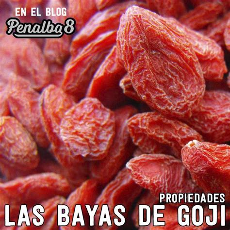 Propiedades De Las Bayas De Goji Entrenadores Personales En Valencia