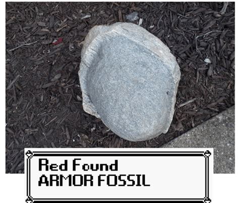 Armor Fossil IRL - Pokémemes - Pokémon, Pokémon GO