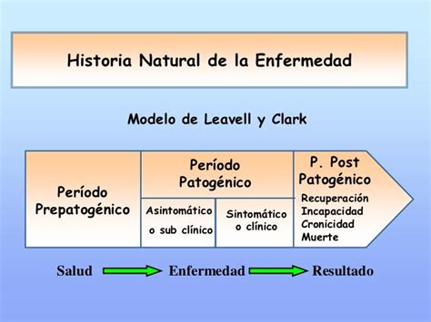 Teórico Historia Natural De La Enfermedad Y Niveles De Prevención