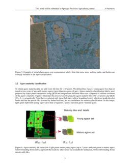 Agave Crop Segmentation And Maturity Classification With Deep Learning