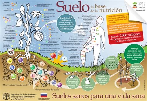 Mantengamos Vivo El Suelo Protejamos Su Biodiversidad Revista Chacra