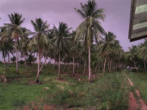 Shell Beach, Guyana | South america, Guyana, Shell beach