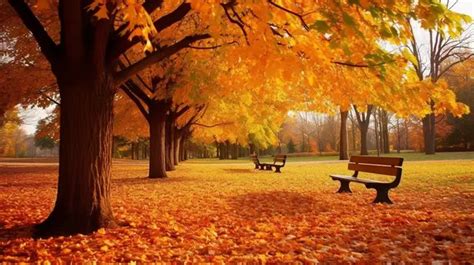 Autumn Desktop Wallpaper Sale | cityofclovis.org