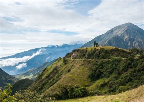 tropical deciduous forests ecuadorcom