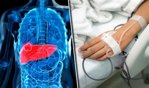 Liver Cancer Risk Sex Hormones Can Cause Symptoms In Men Uk