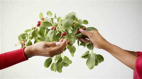 10 Benefits Of Mistletoe Therapy For Cancer Treatment