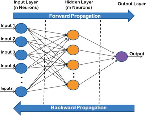 The Basic Architecture Of A Neural Network Download Scientific Diagram