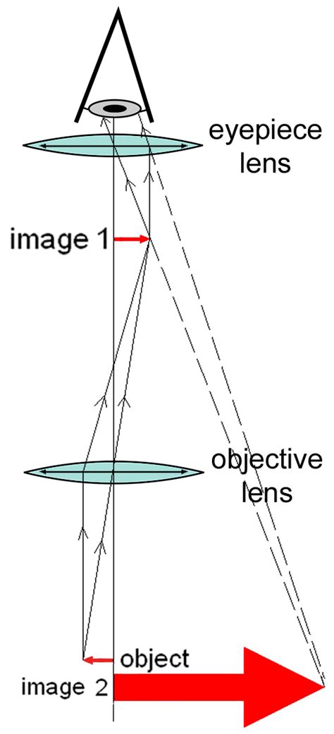 Microscope Lenses Magnification - Micropedia