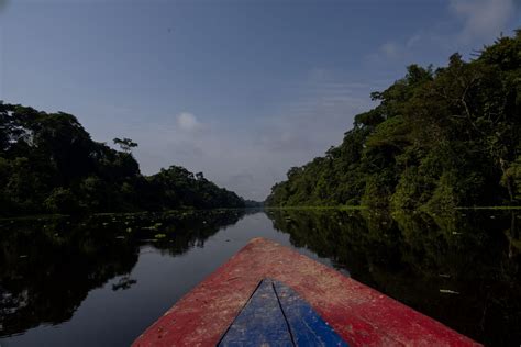 Pacaya Samiria Days Nights Peru Jungle Adventures