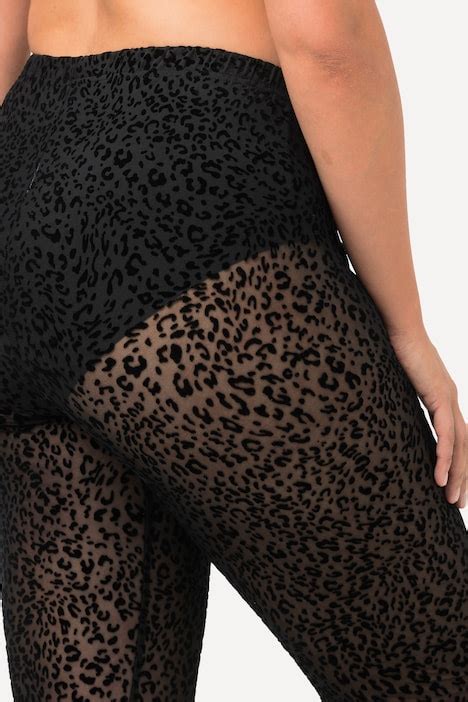 Sheer Leopard Print Leggings All Tights Tights