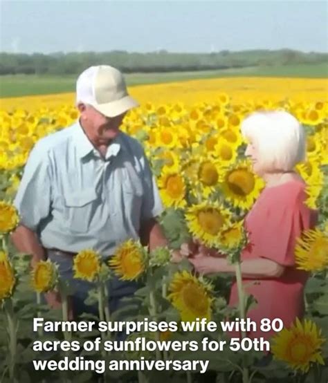 Farmer Surprises Wife With 80 Acres Of Sunflowers For 50th Wedding