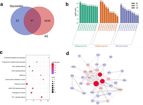 Network Pharmacology Analysis A Vein Diagram Of 47 Targets B Go Download Scientific Diagram