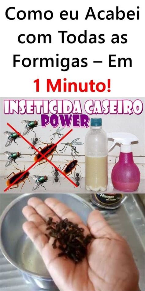 Faça Isso e Acabe Todas as Formigas em Minutos Dicas caseiras