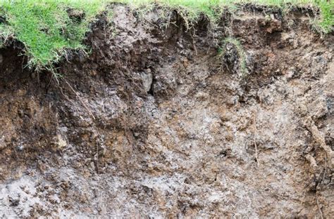 Lo Strato Del Suolo Erode L Erosione Idrica Fotografia Stock Immagine