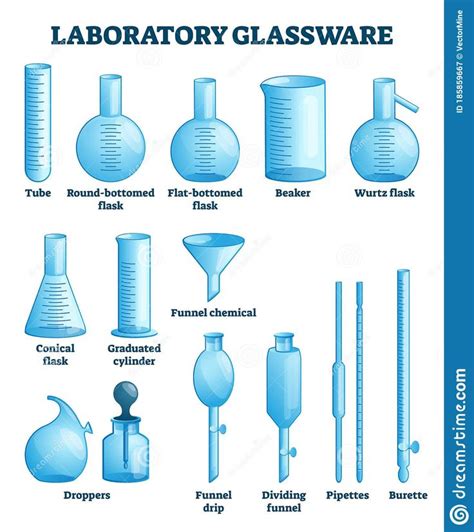 Laboratory Glassware Vector Illustration. Labeled Science Equipment Set Stock Vector ...