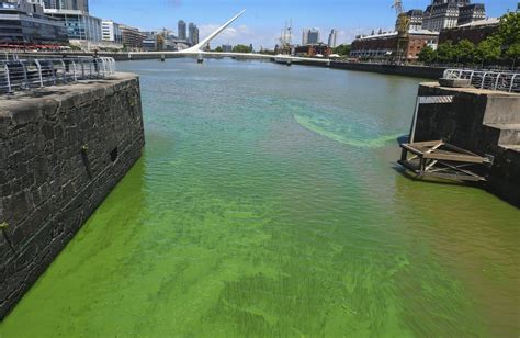 LAS AGUAS BAJAN VERDES POR EL RÍO DE LA PLATA - Otra Buenos Aires