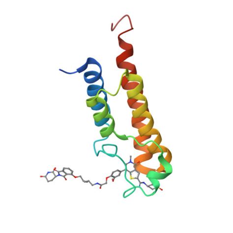 Rcsb Pdb Twx Crystal Structure Of Brd Bromodomain