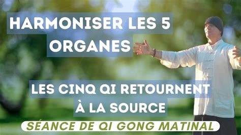 Séance de Qi Gong matinal Les cinq Qi retournent à la source