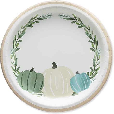 Amazon Sparkle And Bash 48 Pack Friendsgiving Paper Plates With