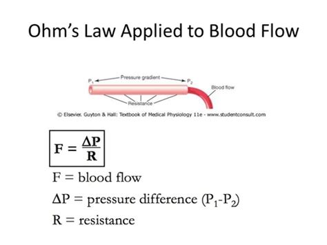 Circulatory System Flashcards Quizlet