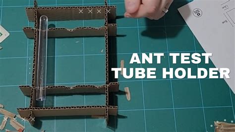 How To Build A Ant Test Tube Holder YouTube