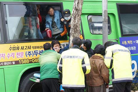 포토 대구서 시내버스 가로수 들이받아 승객 17명 부상 이투데이