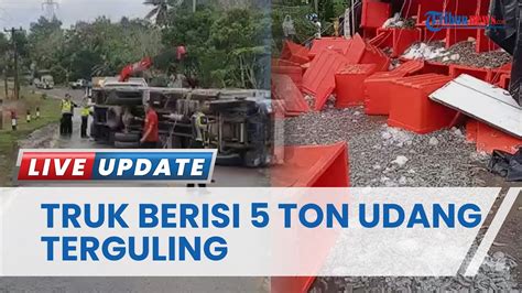 Truk Bermuatan 5 Ton Udang Vaname Terguling Di Bangka Barat Diduga