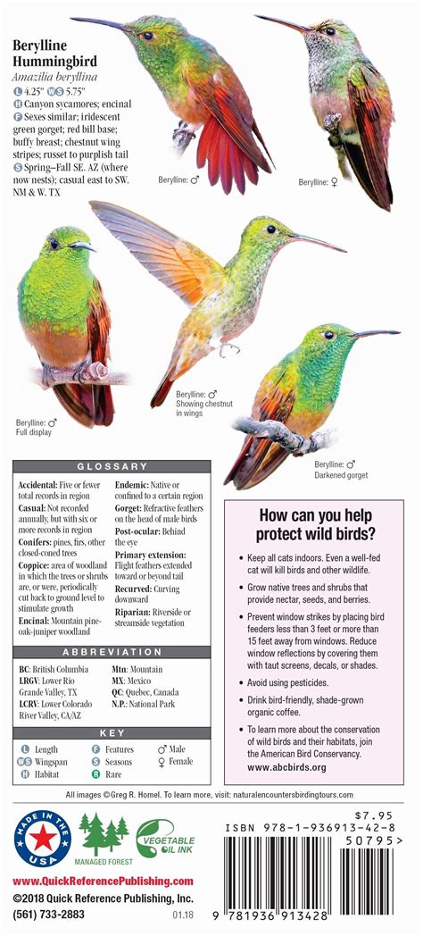 Hummingbirds of North America – Quick Reference Publishing Retail