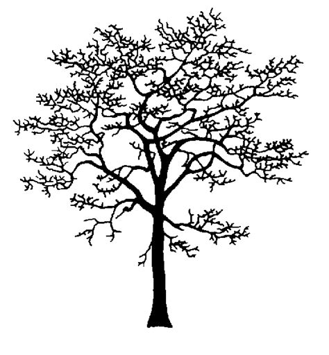 Clipart Of Dogwood Tree