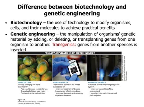 Benefits Of Biotechnology In Humans