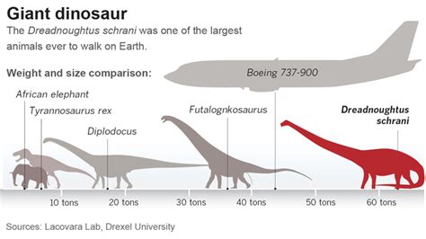 The newly discovered Dreadnoughtus dinosaur... - Los Angeles Times