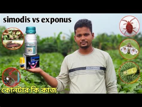 Simodis Syngenta Vs Exponus Basf Insecticide Youtube