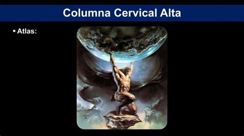 Anatomía de columna cervical PPT