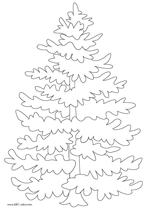 Evergreen Tree Coloring Page At Free Printable