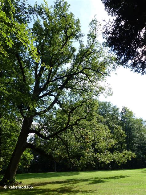 Englischer Garten Eulbach Michelstadt Odenwald Flickr